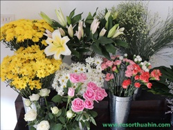 ҹѴ͡Թ Shanel LK Flower Hua Hin Thailand